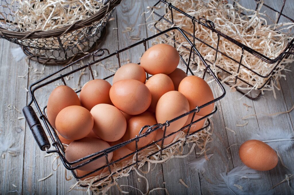 Basket holding all the eggs. How does this relate to investing?
